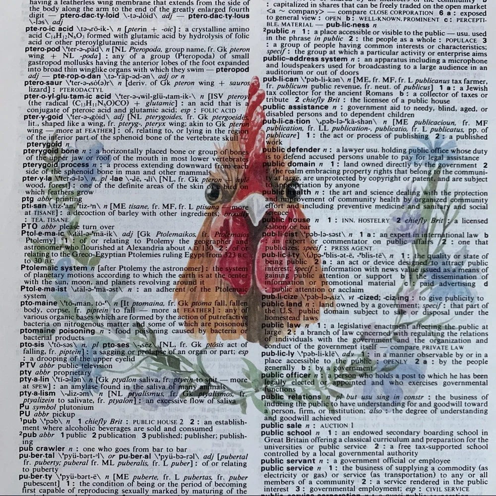 Dictionary Art Print, Chicken, Vintage Art Print, Dictionary Print